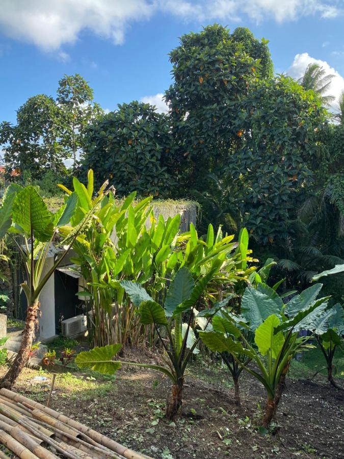 Hotel The Civyt Ubud Esterno foto